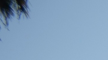 El condado de Los Ángeles dio sepultura a cientos de angelinos cuyos restos no fueron reclamados ( Cortesía del condado de Los Angeles)