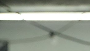 "Canelo" durante un entrenamiento público en 2019.