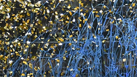 Concachampions Orlando