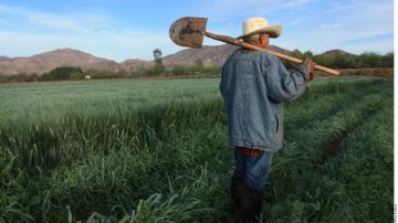 En México se cocina una reforma agraria.
