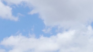 Choca Lamborghini Huracán y huye del lugar. Autoridades de la Ciudad de México buscan al responsable.