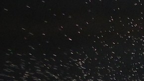 Frank Sánchez sacude la cabeza de Julián Fernández en peso completo.