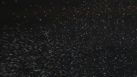 Frank Sánchez sacude la cabeza de Julián Fernández en peso completo.