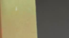 El Daza 11-18-20208861