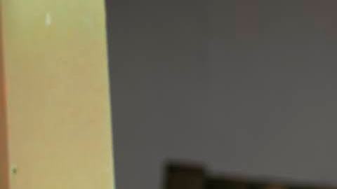 El Daza 11-18-20208861