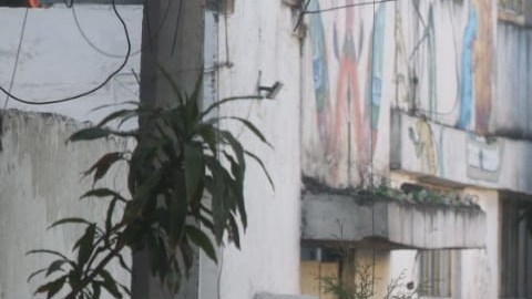 Escena crimen Ciudad de México