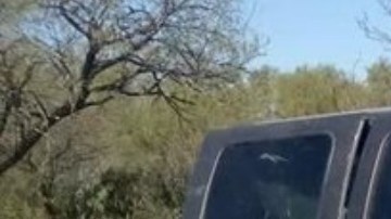 FOTOS: Cártel del Noreste abandona troca con drogas y armas tras enfrentamiento