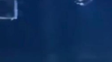 FOTOS: Narcoposada de los Chapitos con grupos musicales, piñatas y rifa de autos