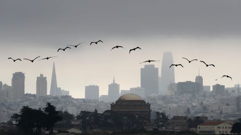 Pelícanos vuelan por encima de la ciudad de San Francisco.