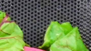 Los trabajadores de supermercados están más expuestos al virus por la gran cantidad de clientes que van a diario.