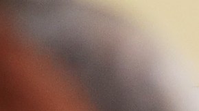 La Administración Trump ha complicado los procesos migratorios, advierten activistas.