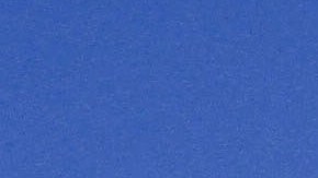 Un perro K-9 fue clave en el operativo en Ontario, California. En la foto, un agente K-9 de ICE.