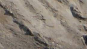 Al menos cuatro científicos vinculados al programa nuclear iraní fueron asesinados entre 2010 y 2012.