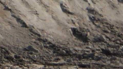 Al menos cuatro científicos vinculados al programa nuclear iraní fueron asesinados entre 2010 y 2012.