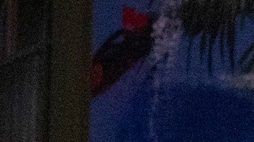 Una de las nuevas líneas del metro de Los Ángeles está muy cerca de completarse.