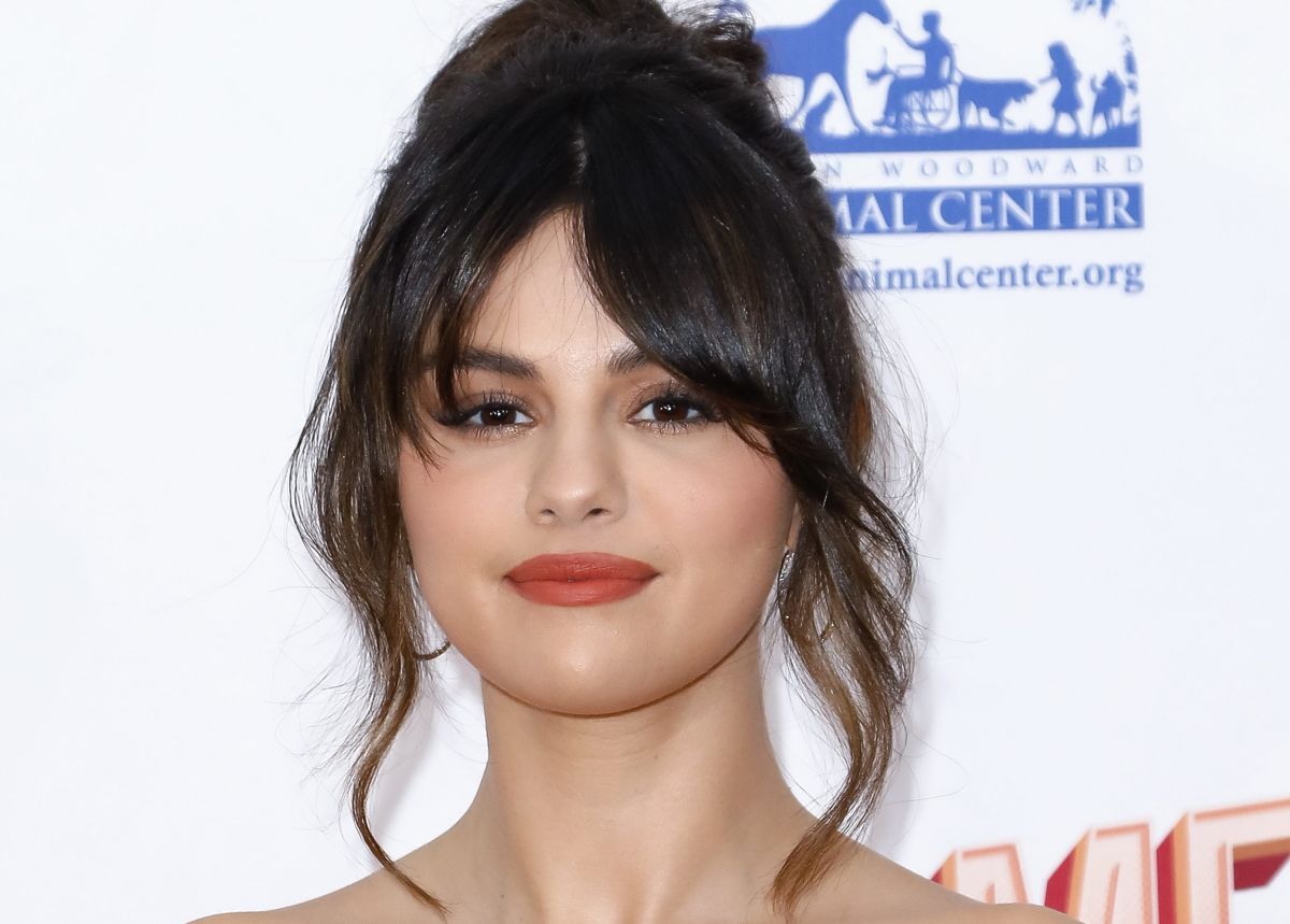 Fans of Selena Gomez and Chris Evans celebrate possible romance between celebrities