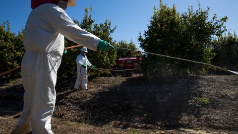 Los sueldos de los trabajadores agrícolas de California están amenazados.