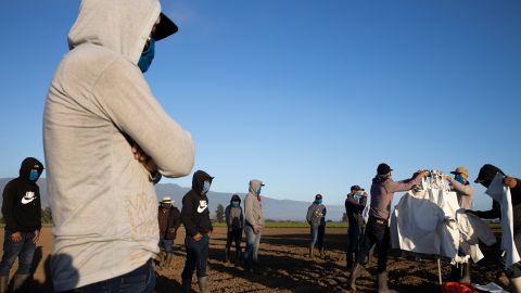 Los trabajadores agrícolas han sido más cruciales aún durante la crisis sanitaria.