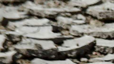 Alrededor de 1,100 millones de personas carecen de acceso a agua potable en todo el mundo.