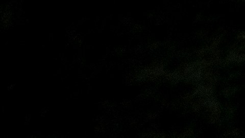 Rigoberto Sánchez ha declarado en múltiples ocasiones su amor por las Chivas.