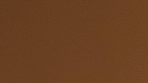 Tlaib propone imponer impuestos a aquellos que no han pagado su parte justa.