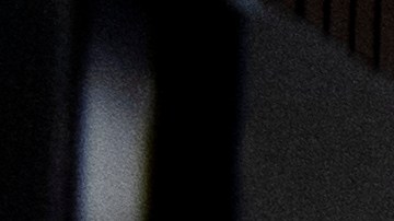 Los anuncios solo llegarán a los votantes de Georgia.