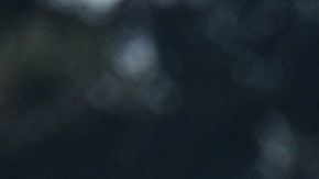 Los hispanos del Valle de San Fernando tienen mayor tasa de contagio por cada 100 mil habitantes. (Getty Images)