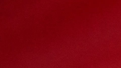 Un juez de Los Ángeles consideró que la prohibición es excesiva y no tiene fundamento.