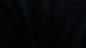 La oposición mayoritaria ha pedido que no vayan a votar.