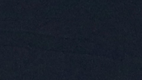 Con un gol del francés, Tigres se llevó el título colectivo y Gignac los individuales.