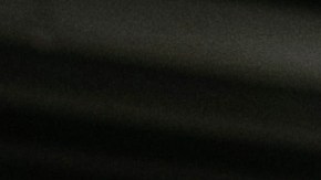 El decomiso se realizó en un periodo de 45 días.