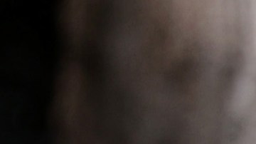 Ivanka Trump y Jared Kushner también compraron un terreno a Julio Iglesias en una exclusiva isla de Miami.