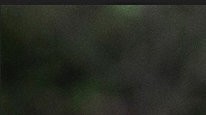 Melania y Donald Trump