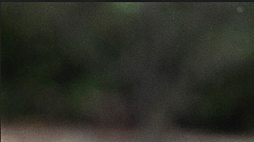 Melania y Donald Trump