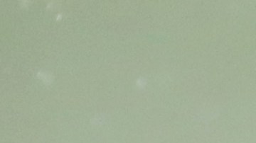 Lamar Jackson tiene coronavirus y quedó fuera del juego contra Pittsburgh.