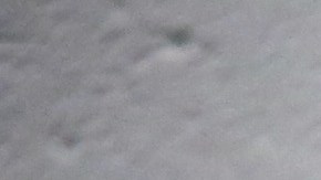 La demanda asegura que violaron sus derechos constitucionales de la Octava Enmienda.