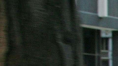 USCIS considera varios beneficios sociales como una carga pública.