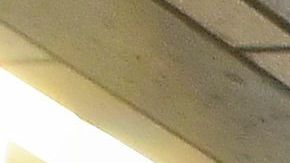 El estado tiene programado llegar a $15 por hora para todos los empleados en 2023.