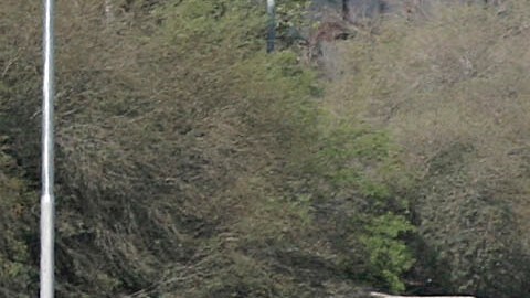 Los carriles dirección sur del Freeway 5 están cerrados por tiempo indefinido.