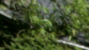 Todos los trabajadores tiene derecho a ganar el sueldo mínimo sin importar su estado migratorio.