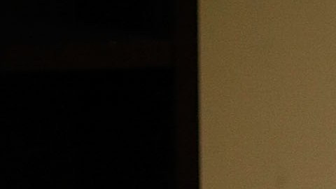 Muchas personas perdieron sus empleos o se quedaron en casa para ayudar con la educación de sus hijos.