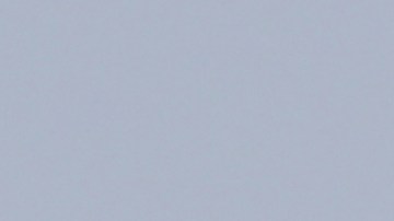 Un video grabado desde el aire logró captar al sujeto.