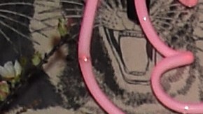 Las Kardashian-Jenner son unas de las familias más poderosas de Hollywood.