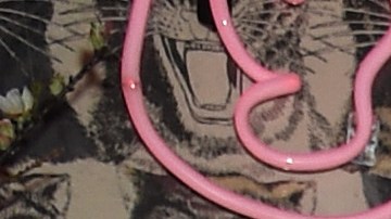 Las Kardashian-Jenner son unas de las familias más poderosas de Hollywood.