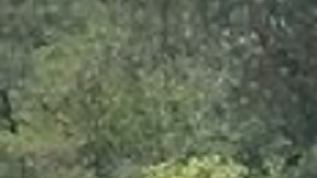 Golpe al CJNG caen 15 de sus sicarios en medio de disputa con el Cártel de Sinaloa