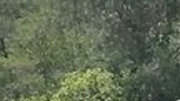 Golpe al CJNG caen 15 de sus sicarios en medio de disputa con el Cártel de Sinaloa