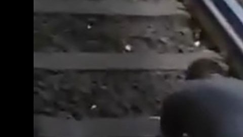Hombre es rescatado de las vías del metro de la Ciudad de México.