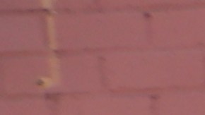 La pareja Blas juntan y entregan alimentos en el sur de LA.