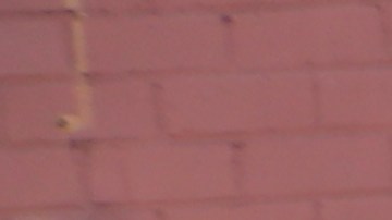 La pareja Blas juntan y entregan alimentos en el sur de LA.