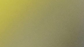 Miguel Herrera sepultó las posibilidades de ver a Vela vestido de azulcrema el próximo torneo.